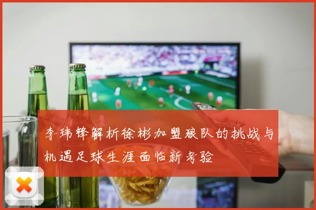 李玮锋解析徐彬加盟狼队的挑战与机遇足球生涯面临新考验