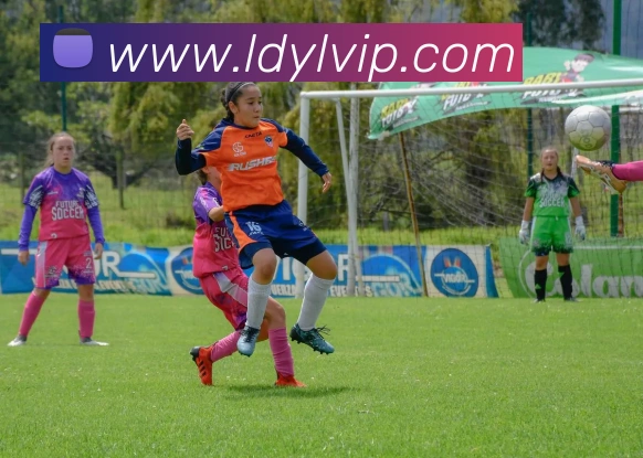 蓝盾娱乐APP 体育赛事宣传图